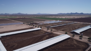 Venture is Awarded Dairy Waste to RNG Project in Arizona